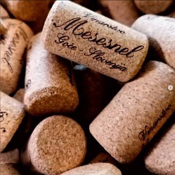 Screenshot 2022-09-15 at 09-41-25 Cejkotova Domačija (@cejkotova_domacija) • Instagram photos and videos